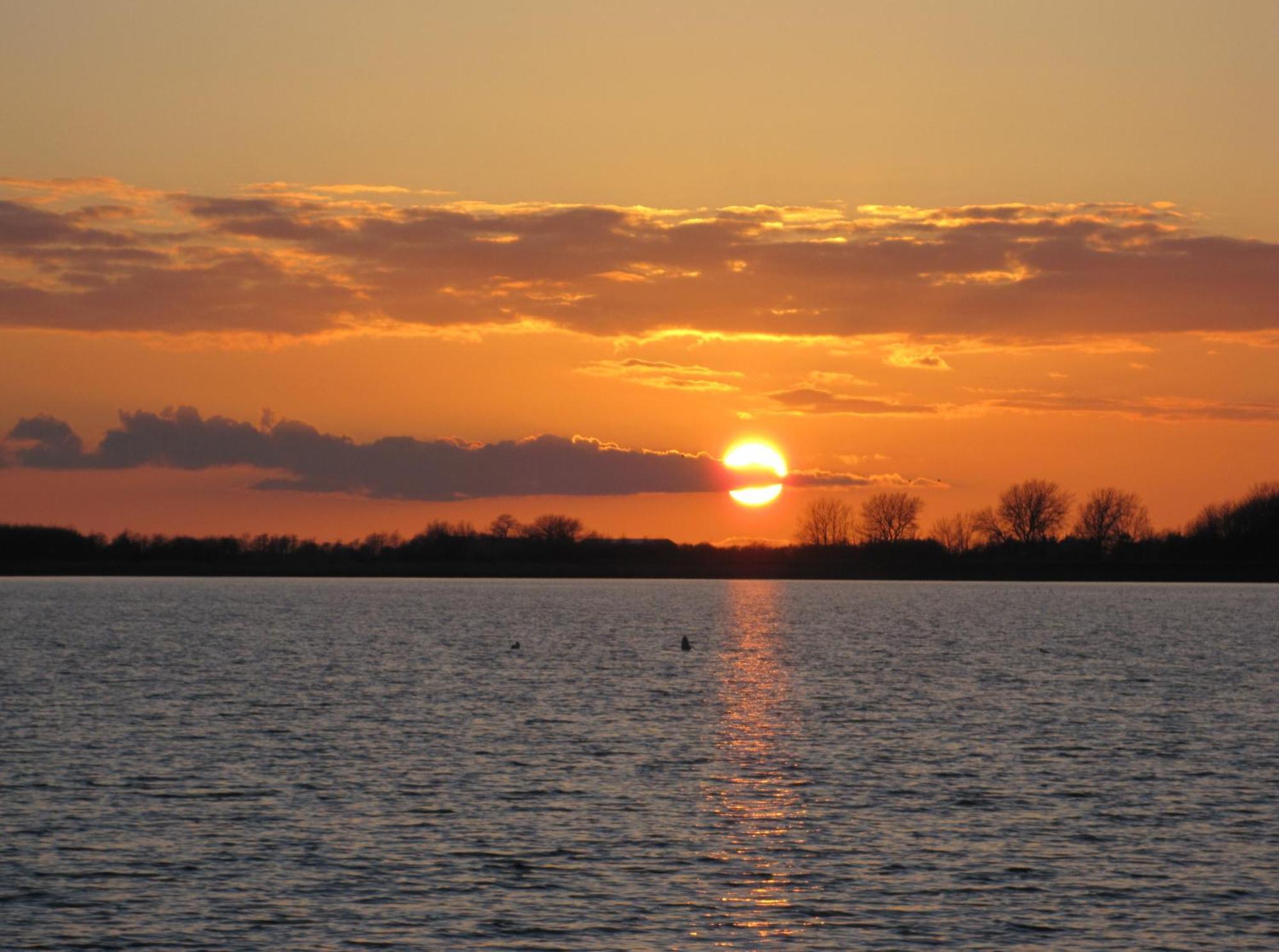 Fewo Im Kastania Nr19 Petersdorf auf Fehmarn Esterno foto